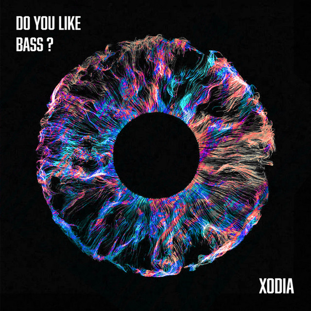 Do U Like Bass?? cover art